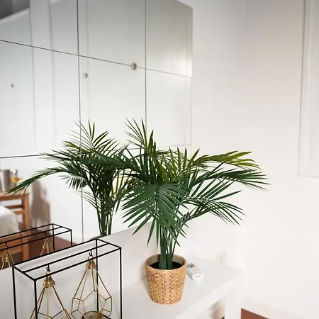 Maison Spanish Steps 公寓 罗马